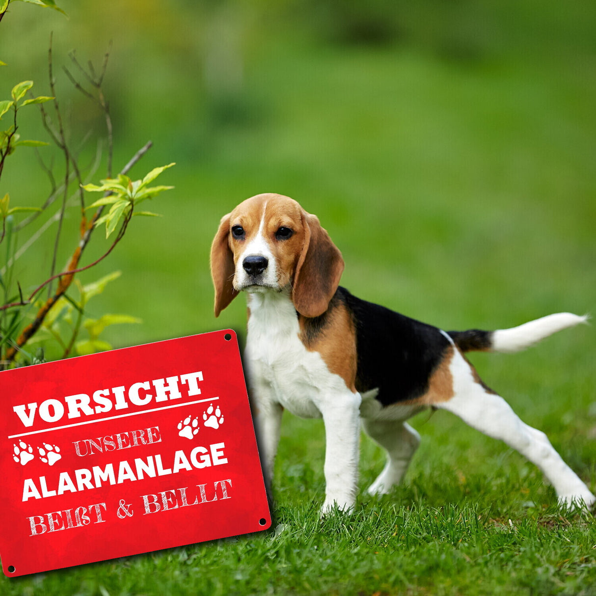Vorsicht unsere Alarmanlage beißt & bellt Metallschild