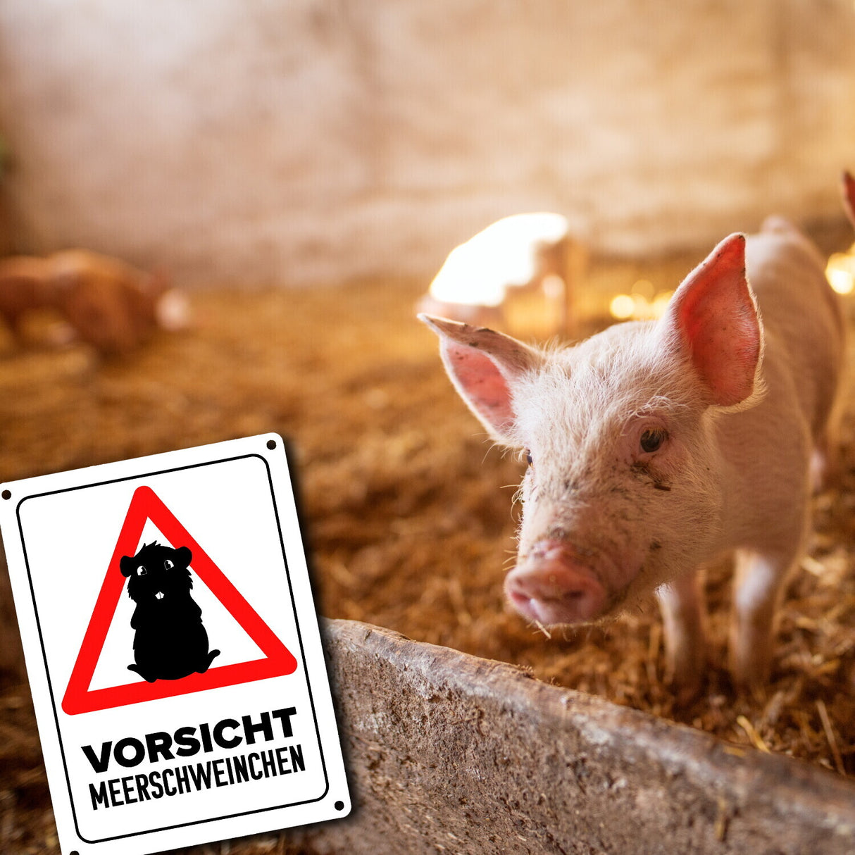 Vorsicht Meerschweinchen Metallschild mit Meerschweinchen Silhouette