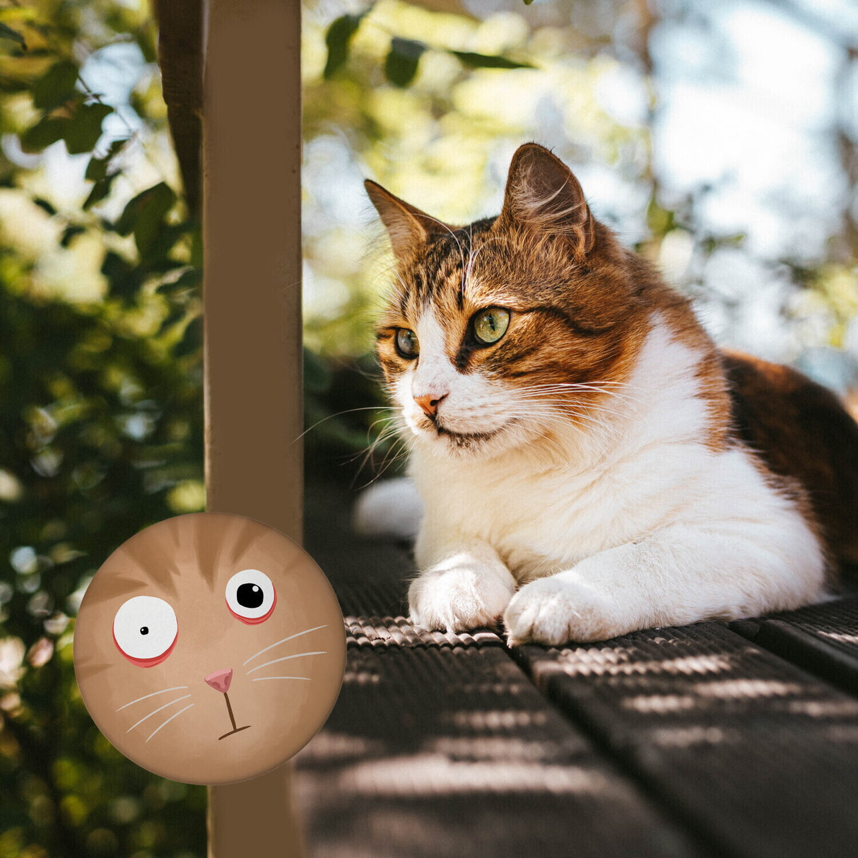 Kühlschrankmagnet mit Katzengesicht verwirrte Katze
