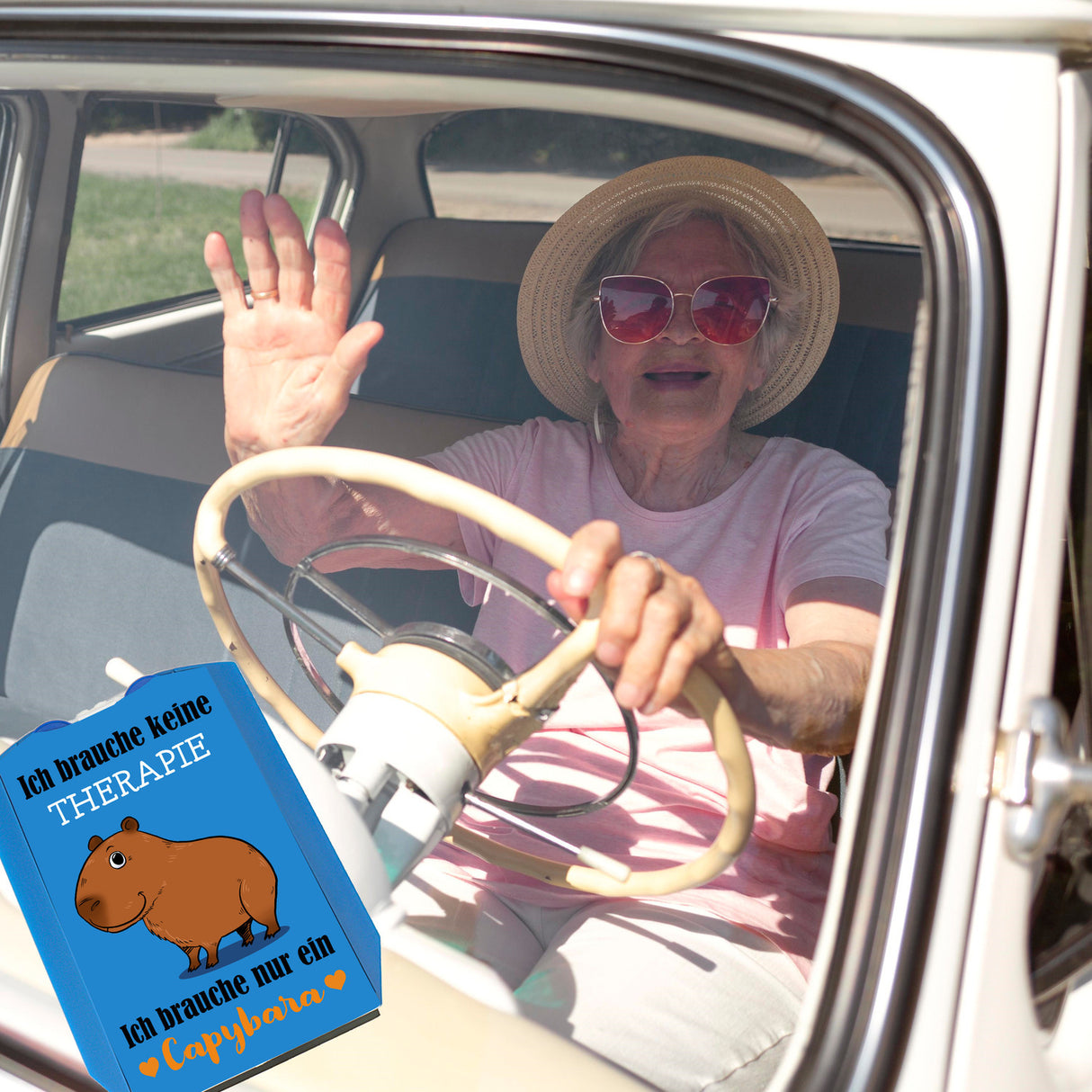Keine Therapie – ich brauche nur ein Capybara Parkscheibe