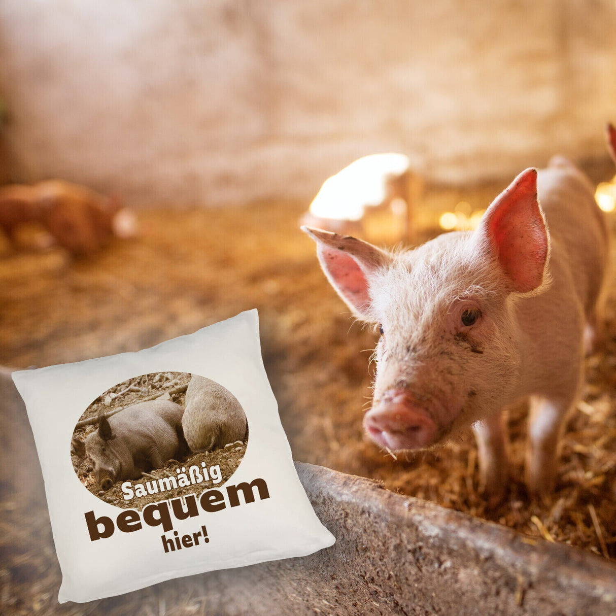 Schwein Kissen mit Spruch Saumäßig bequem hier!