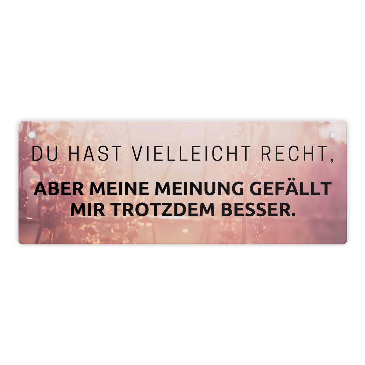 Du hast vielleicht Recht Metallschild Aber meine Meinung gefällt mir besser