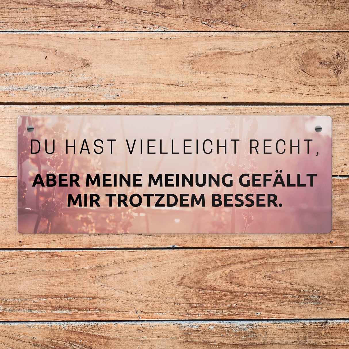 Du hast vielleicht Recht Metallschild Aber meine Meinung gefällt mir besser