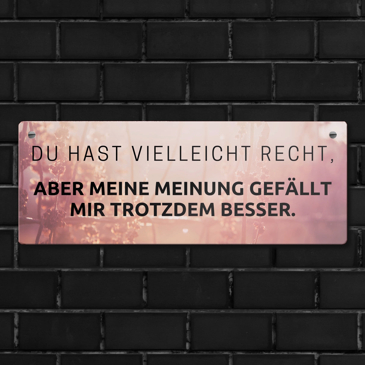 Du hast vielleicht Recht Metallschild Aber meine Meinung gefällt mir besser