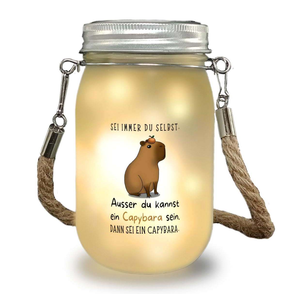Sei immer du selbst - ausser du kannst ein Capybara sein Solarlicht