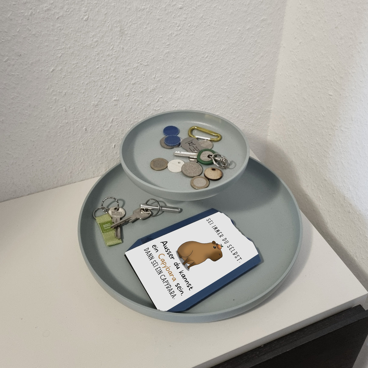Sei immer du selbst - ausser du kannst ein Capybara sein Parkscheibe