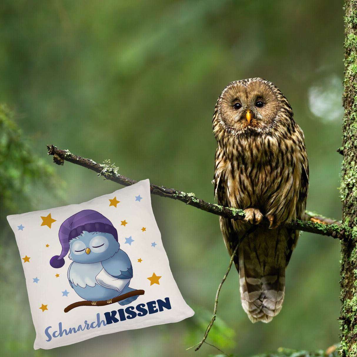 Schlafende Eule Kissen mit Spruch SchnarchKissen
