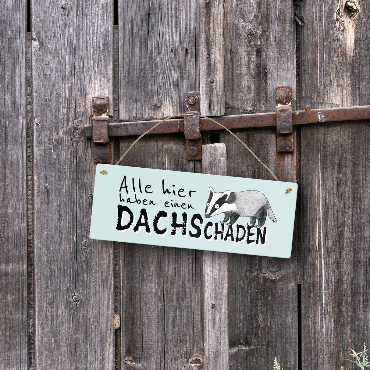 Dachs Metallschild mit Spruch Alle hier haben einen DACHSchaden