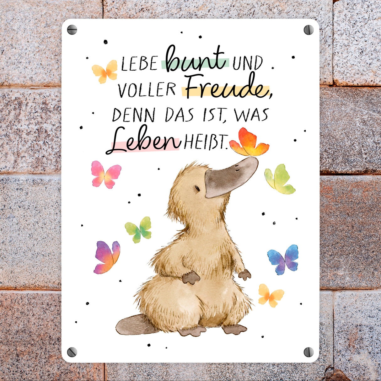 Schnabeltier Metallschild in 15x20 cm mit Spruch Lebe bunt und freudig