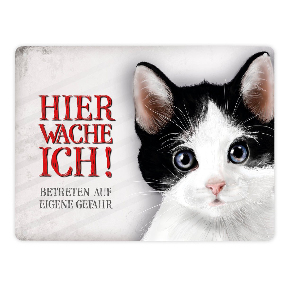 Metallschild mit Katze Motiv und Spruch: Betreten auf eigene Gefahr ...