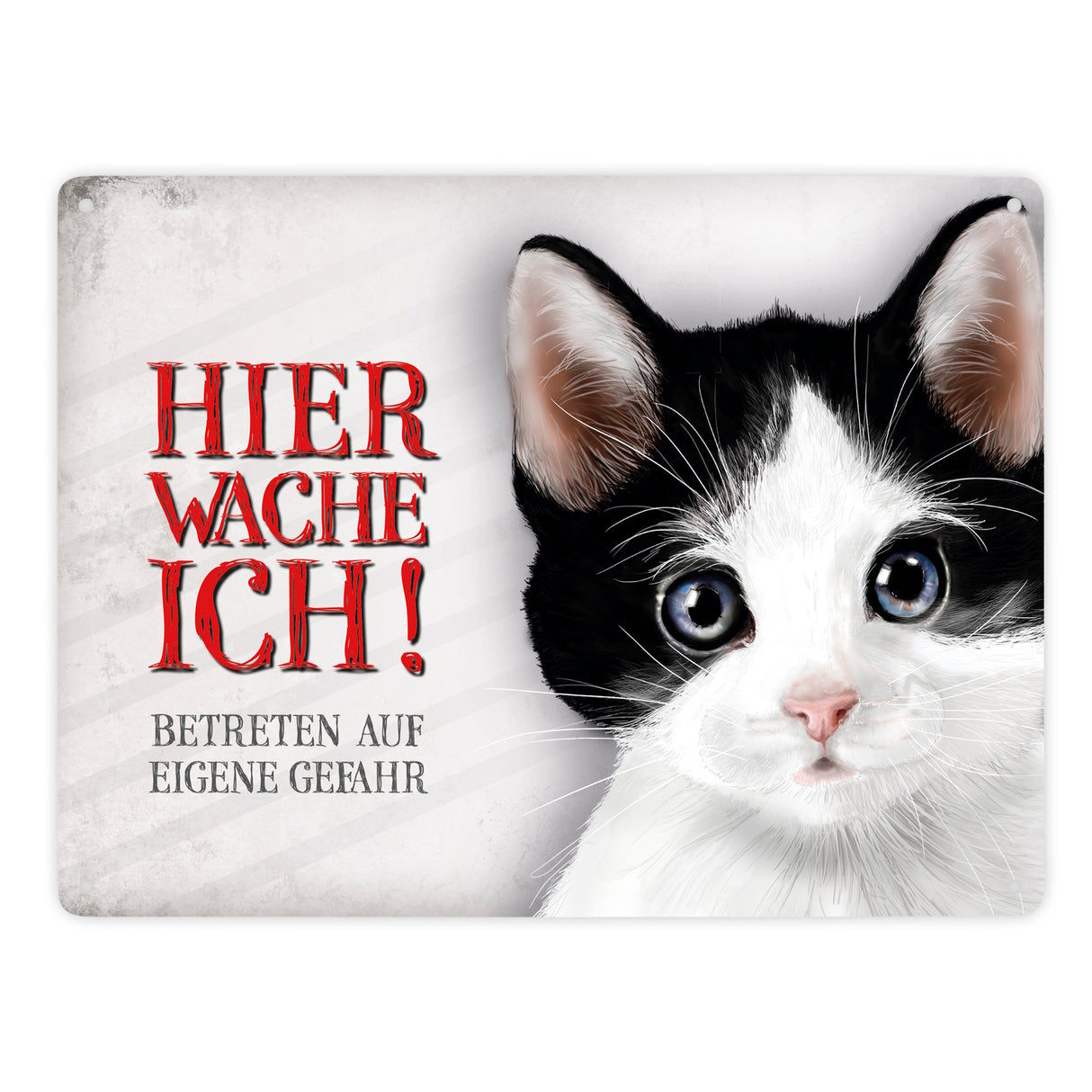 Metallschild mit Katze Motiv und Spruch: Betreten auf eigene Gefahr ...