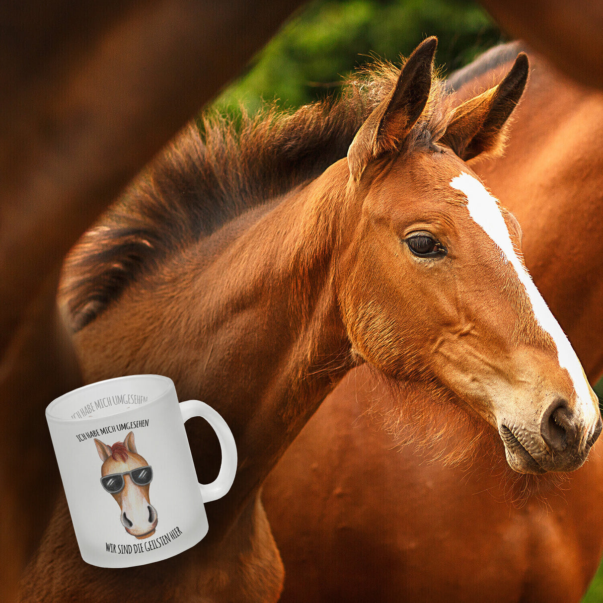 Ich habe mich umgesehen, wir sind die Geilsten hier Kaffeebecher mit Pferd
