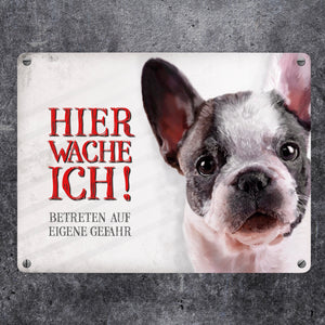 Hier wache ich! Französische Bulldogge Metallschild