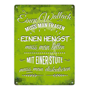 Metallschild mit Reiter Motiv und Spruch: Einen Wallach muss man fragen, ...