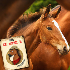 Metallschild mit Westernpferd Motiv für Pferdeanhänger - Pferde, Hängerschild, Westernreiten
