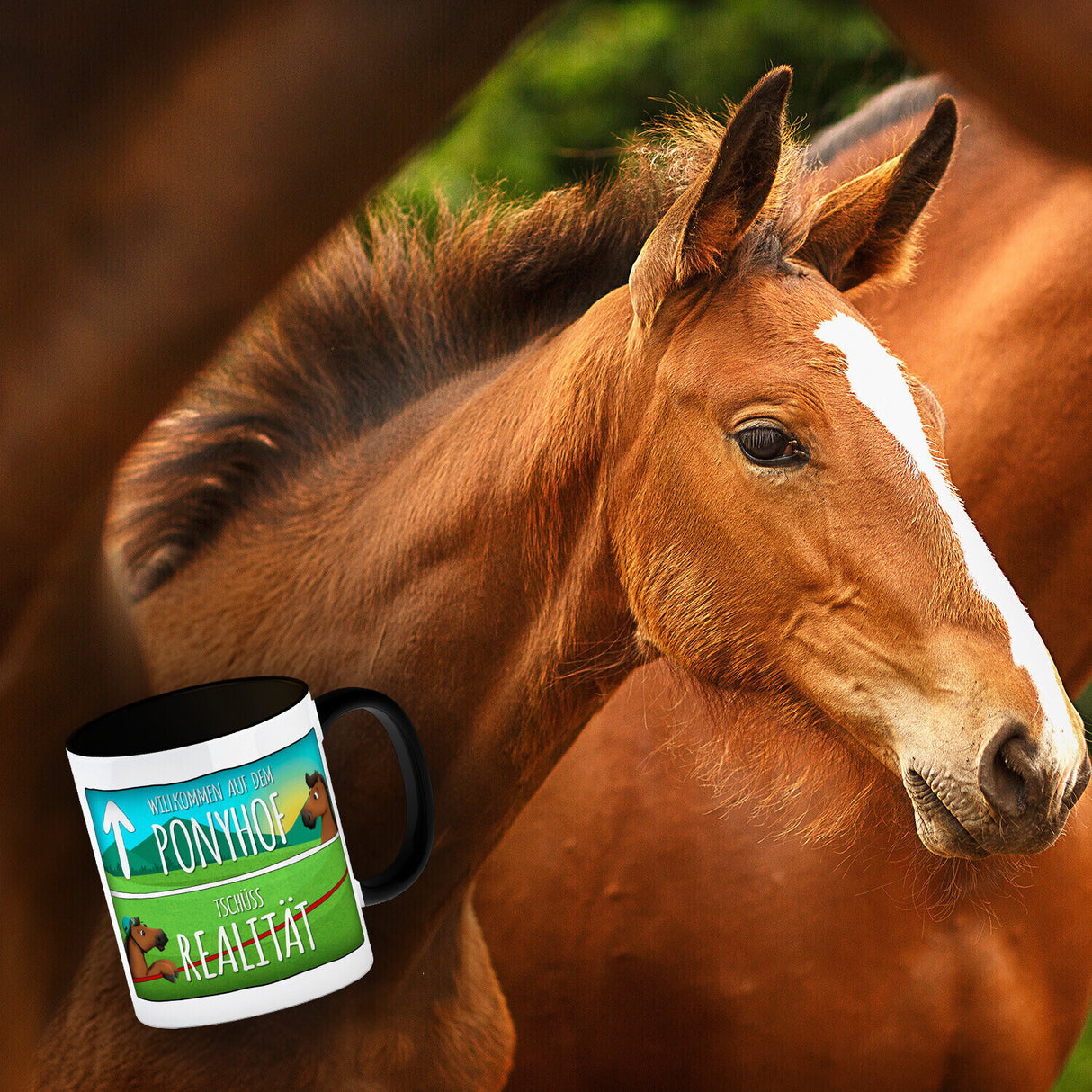 Willkommen auf dem Ponyhof... Kaffeebecher