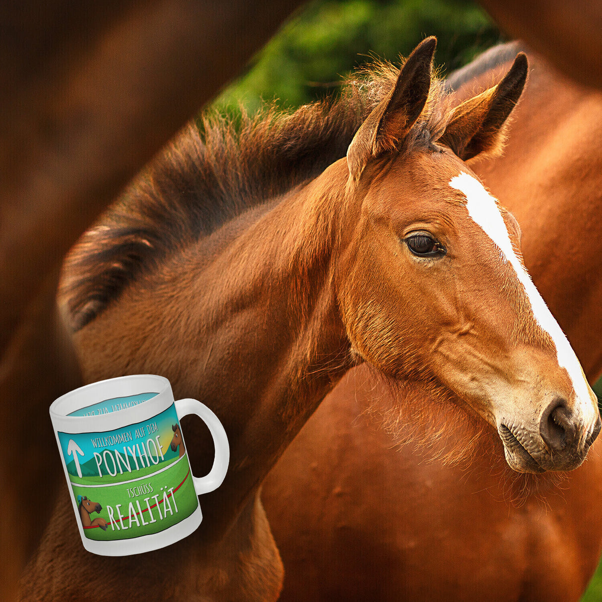 Willkommen auf dem Ponyhof... Kaffeebecher
