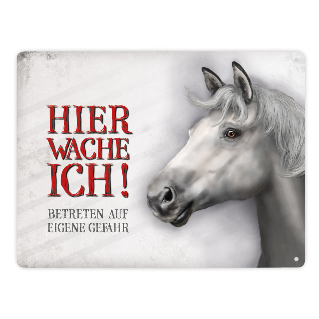 Metallschild mit Pferd Motiv und Spruch: Betreten auf eigene Gefahr - Koppelschild, Warnschild