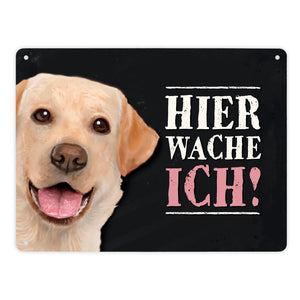 Hier wache ich! Labrador Metallschild