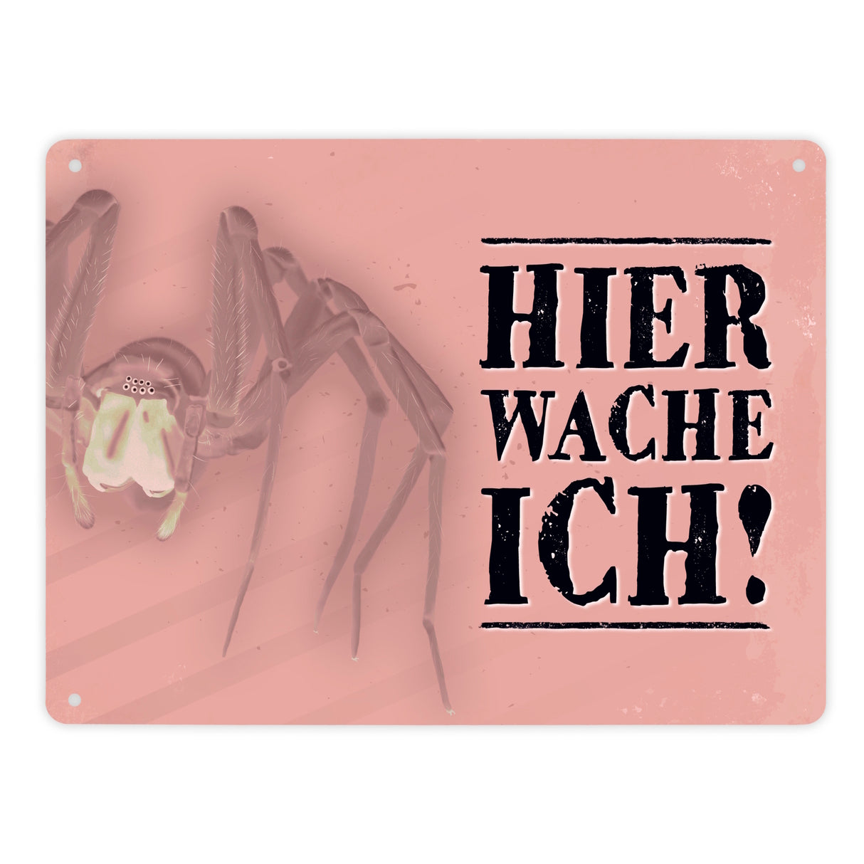 Metallschild mit Spinne Motiv und Spruch: Hier wache ich!