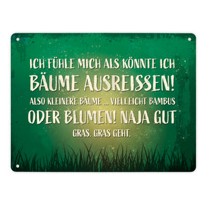 Metallschild mit Spruch: Ich fühle mich, als könnte ...