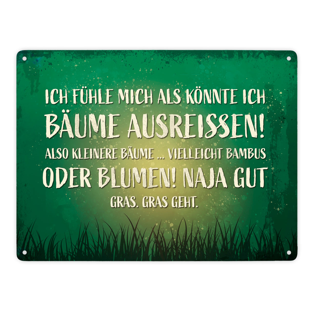 Metallschild mit Spruch: Ich fühle mich, als könnte ...