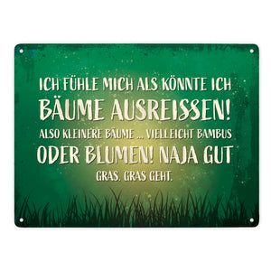 Metallschild mit Spruch: Ich fühle mich, als könnte ...