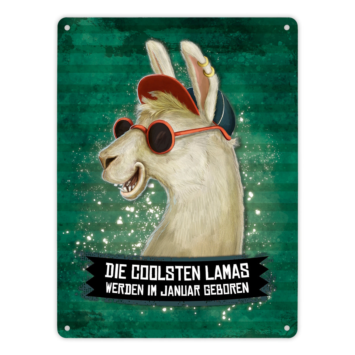 Metallschild mit Spruch: Die coolsten Lamas werden ...