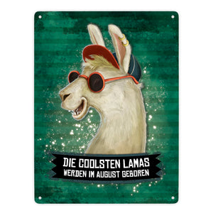 Metallschild mit Spruch: Die coolsten Lamas werden im August geboren