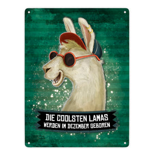 Metallschild mit Spruch: Die coolsten Lamas werden im Dezember geboren
