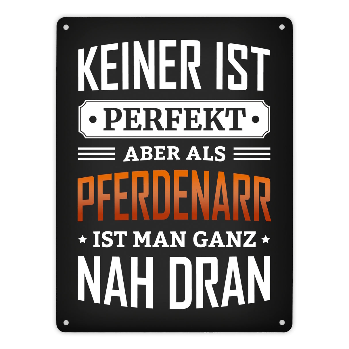 Metallschild mit Spruch: Keiner ist perfekt, aber als Pferdenarr ist man ganz nah dran