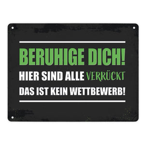 Beruhige dich! Hier sind alle verrückt… Metallschild