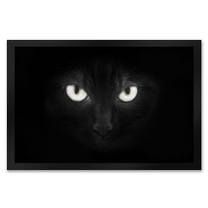 Katzenaugen Fußmatte Katze Kater Auge Haustüre Wohnungstüre Böse Zuhause