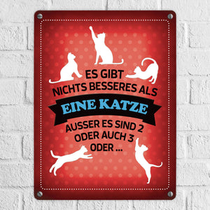 Es gibt nichts besseres als eine Katze Metallschild - Katzen Liebe Kater Haustier Lieblingstier