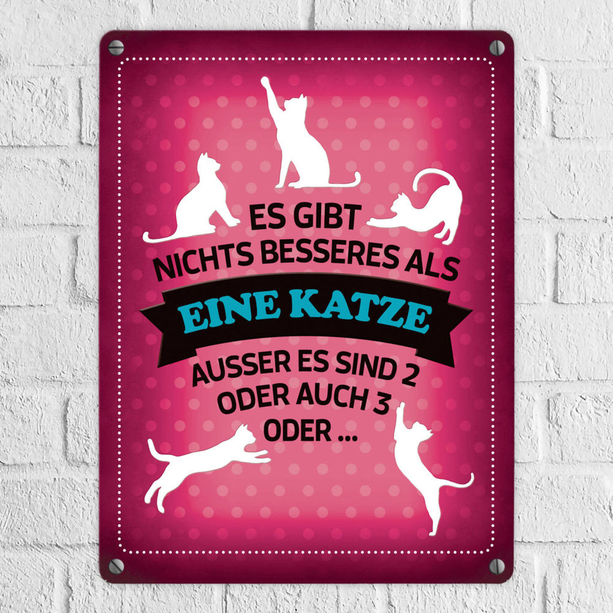 Es gibt nichts besseres als eine Katze Metallschild - Katzen Liebe Kater Haustier Lieblingstier