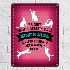 Es gibt nichts besseres als eine Katze Metallschild - Katzen Liebe Kater Haustier Lieblingstier