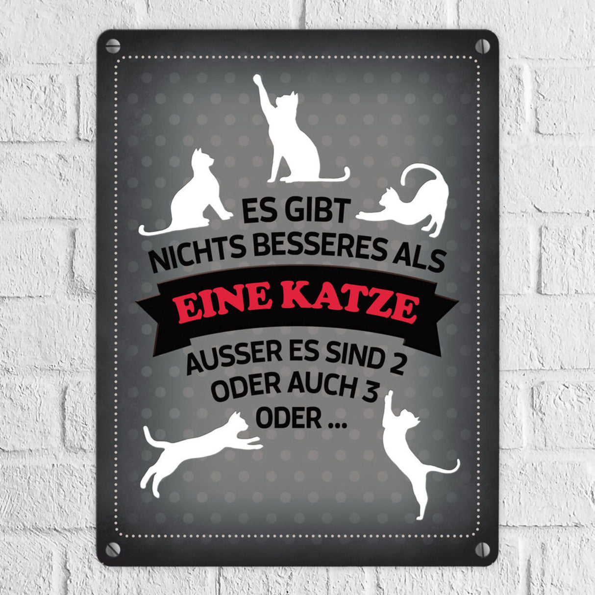 Es gibt nichts besseres als eine Katze Metallschild - Katzen Liebe Kater Haustier Lieblingstier