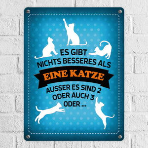 Es gibt nichts besseres als eine Katze Metallschild - Katzen Liebe Kater Haustier Lieblingstier