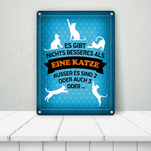 Es gibt nichts besseres als eine Katze Metallschild - Katzen Liebe Kater Haustier Lieblingstier