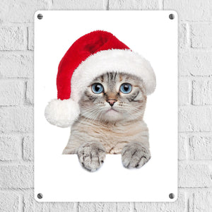 Niedliche Kätzchen Metallschild im Weihnachtsstyle