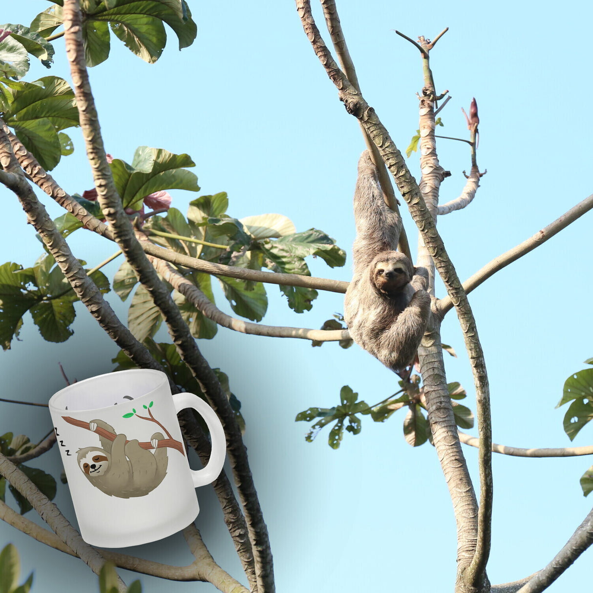 Weck mich wenn es Freitag ist Kaffeebecher mit süßem Faultier