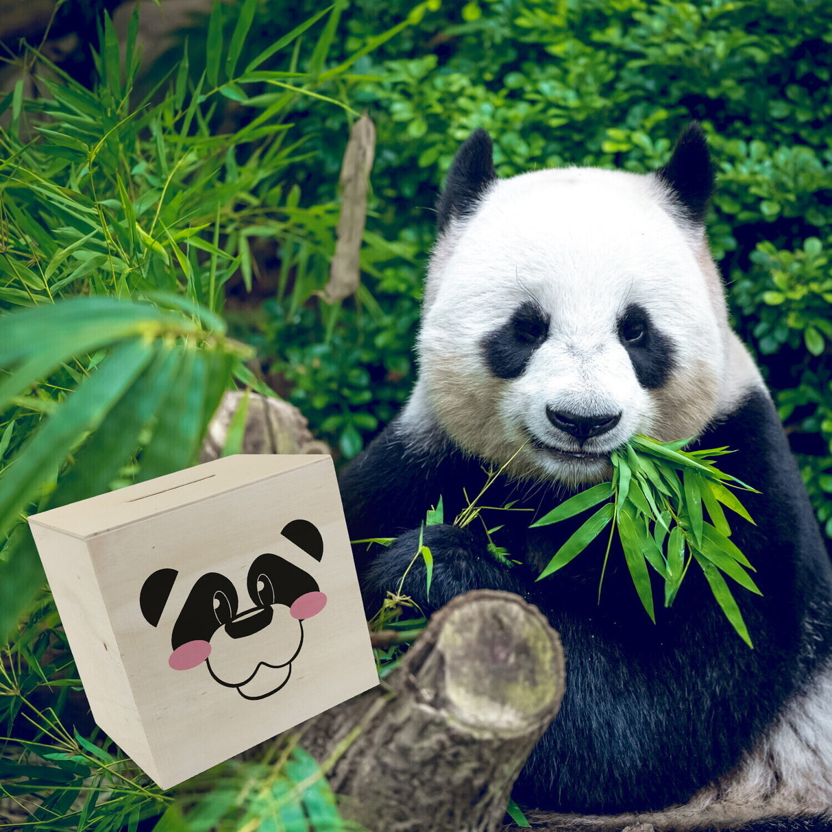 Spardose aus Keramik mit niedlichem Panda-Gesicht - für kleine Kinder