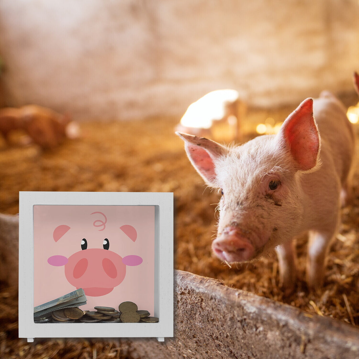 Spardose aus Keramik mit niedlichem Schweine-Gesicht - für kleine Kinder