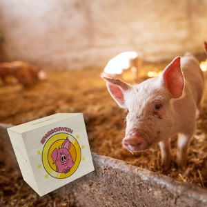 Spardose mit lustigem Schweinchen Motiv und Spruch - Sparschwein