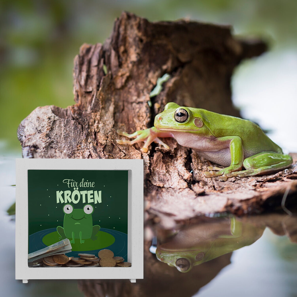 Spardose für Kinder mit niedlichem Frosch und Spruch - Für deine Kröten