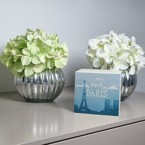 Spardose mit schönem Motiv und Text - Trip to Paris