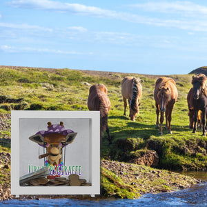 Spardose mit lustigem Tier und Text für Urlauber - Urlaubsgiraffe