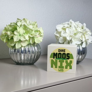 Spardose mit lustigem Motiv und Spruch: Ohne Moos nix los