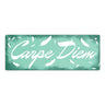 Carpe Diem Nutze den Tag Metallschild in braun