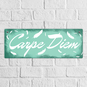 Carpe Diem Nutze den Tag Metallschild in braun